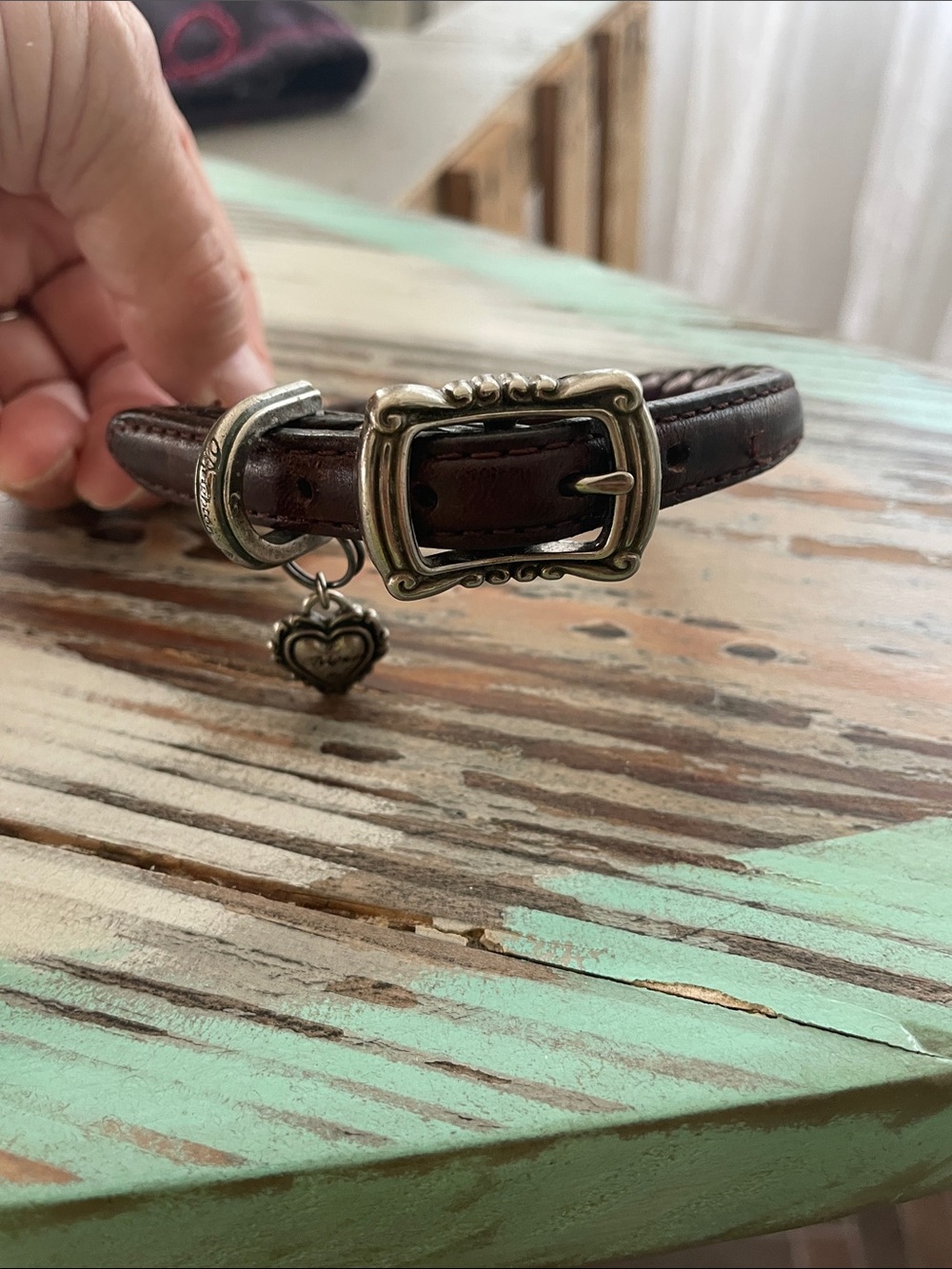 Brighton Dog Collar - Size Small